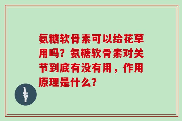 氨糖软骨素可以给花草用吗？氨糖软骨素对关节到底有没有用，作用原理是什么？