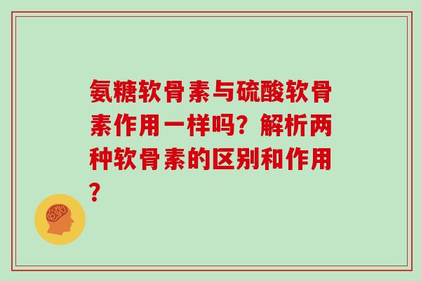 氨糖软骨素与硫酸软骨素作用一样吗？解析两种软骨素的区别和作用？