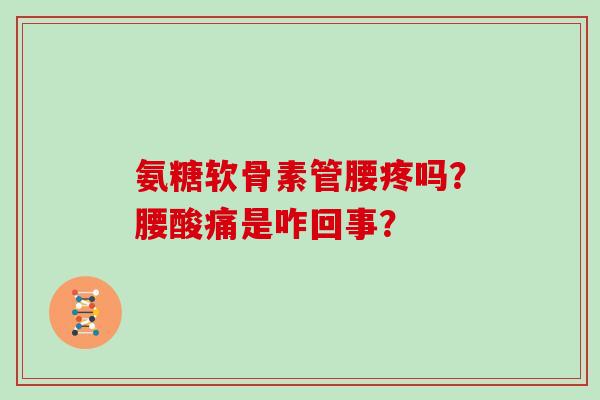氨糖软骨素管腰疼吗？腰酸痛是咋回事？