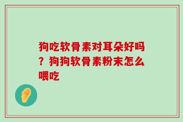 狗吃软骨素对耳朵好吗？狗狗软骨素粉末怎么喂吃