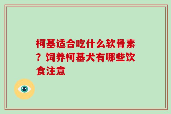 柯基适合吃什么软骨素？饲养柯基犬有哪些饮食注意