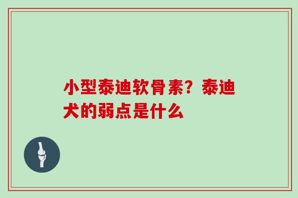 小型泰迪软骨素？泰迪犬的弱点是什么