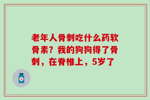 老年人骨刺吃什么药软骨素？我的狗狗得了骨刺，在脊椎上，5岁了
