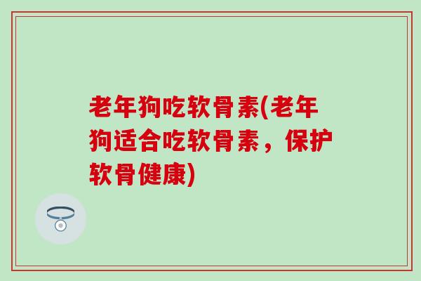 老年狗吃软骨素(老年狗适合吃软骨素，保护软骨健康)