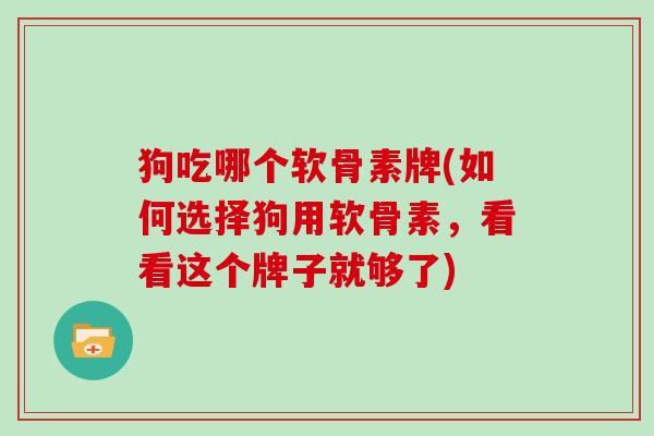 狗吃哪个软骨素牌(如何选择狗用软骨素，看看这个牌子就够了)