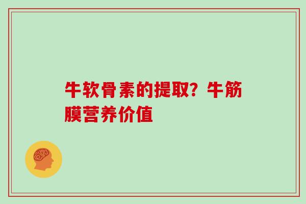 牛软骨素的提取？牛筋膜营养价值