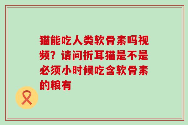 猫能吃人类软骨素吗视频？请问折耳猫是不是必须小时候吃含软骨素的粮有