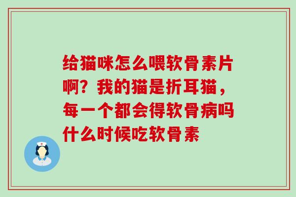 给猫咪怎么喂软骨素片啊？我的猫是折耳猫，每一个都会得软骨病吗什么时候吃软骨素