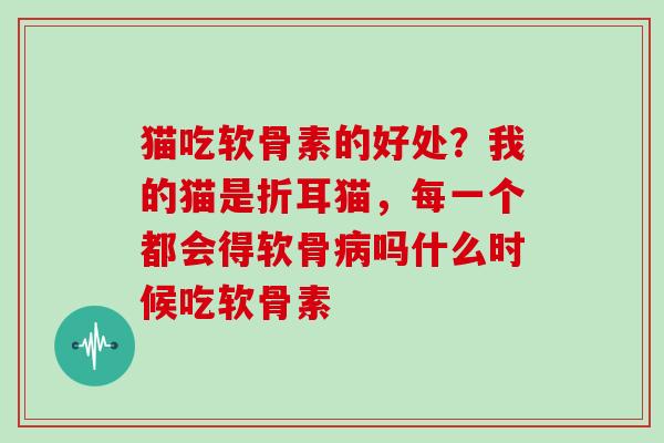 猫吃软骨素的好处？我的猫是折耳猫，每一个都会得软骨病吗什么时候吃软骨素