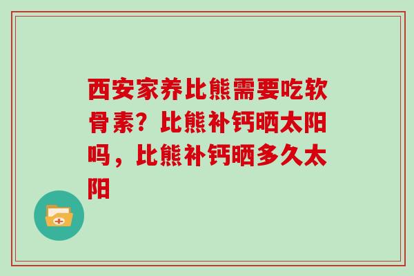 西安家养比熊需要吃软骨素？比熊补钙晒太阳吗，比熊补钙晒多久太阳