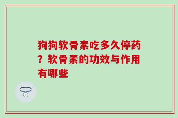 狗狗软骨素吃多久停药？软骨素的功效与作用有哪些