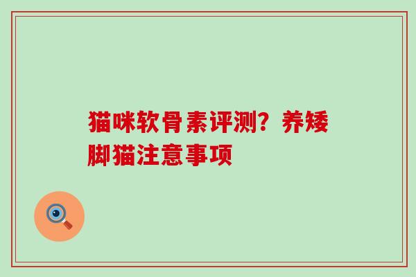 猫咪软骨素评测？养矮脚猫注意事项
