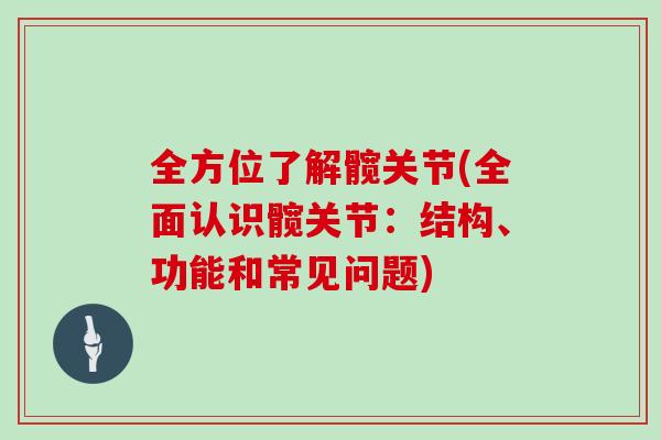 全方位了解髋关节(全面认识髋关节：结构、功能和常见问题)