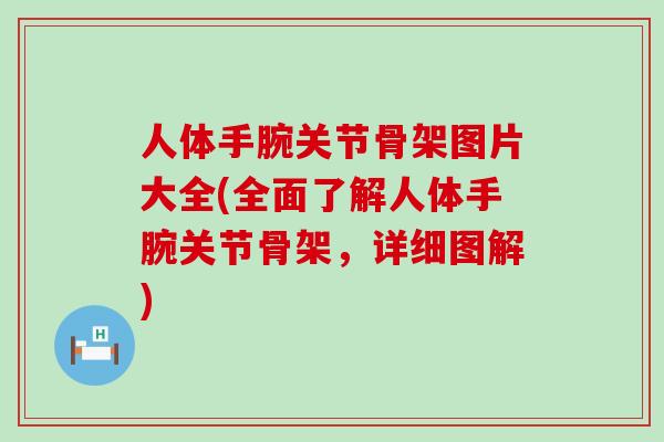 人体手腕关节骨架图片大全(全面了解人体手腕关节骨架，详细图解)