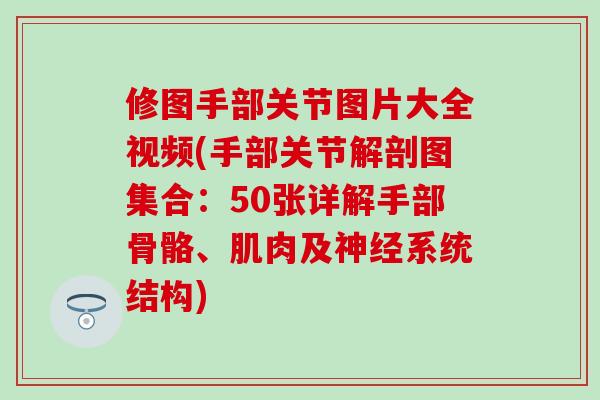 修图手部关节图片大全视频(手部关节解剖图集合：50张详解手部骨骼、肌肉及神经系统结构)