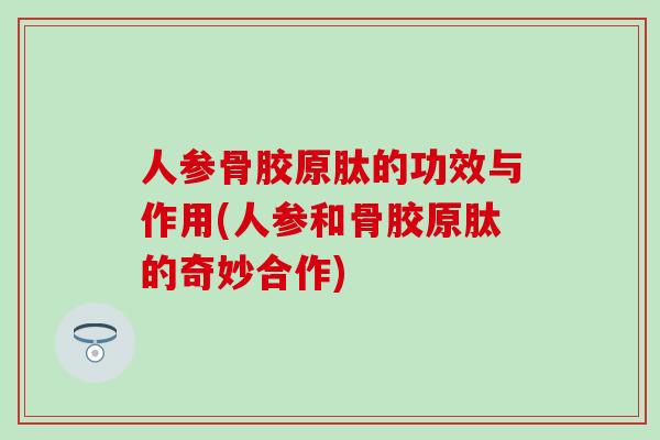 人参骨胶原肽的功效与作用(人参和骨胶原肽的奇妙合作)