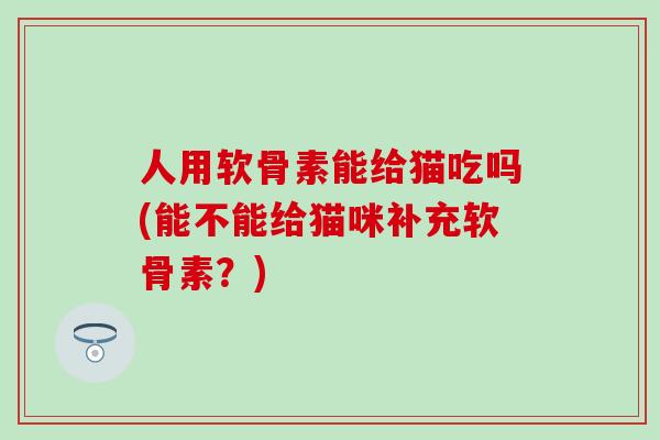 人用软骨素能给猫吃吗(能不能给猫咪补充软骨素？)