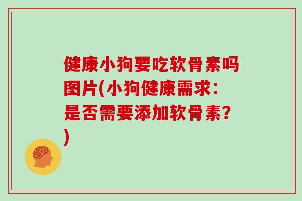 健康小狗要吃软骨素吗图片(小狗健康需求：是否需要添加软骨素？)
