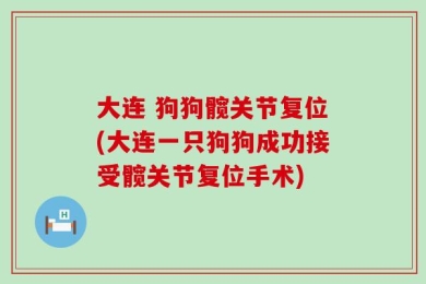 大连 狗狗髋关节复位(大连一只狗狗成功接受髋关节复位手术)