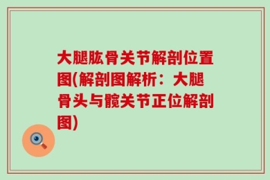 大腿肱骨关节解剖位置图(解剖图解析：大腿骨头与髋关节正位解剖图)