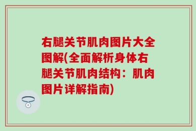 右腿关节肌肉图片大全图解(全面解析身体右腿关节肌肉结构：肌肉图片详解指南)