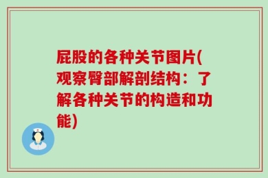 屁股的各种关节图片(观察臀部解剖结构：了解各种关节的构造和功能)