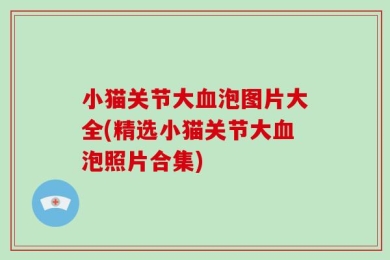 小猫关节大血泡图片大全(精选小猫关节大血泡照片合集)