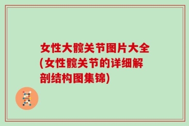 女性大髋关节图片大全(女性髋关节的详细解剖结构图集锦)