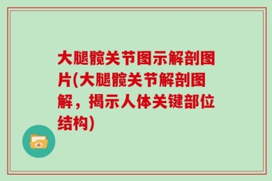 大腿髋关节图示解剖图片(大腿髋关节解剖图解，揭示人体关键部位结构)