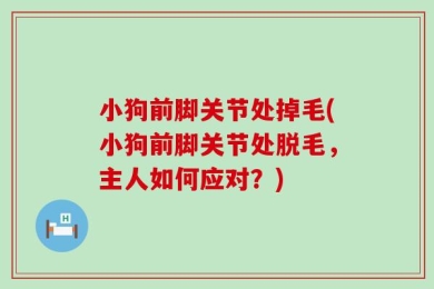 小狗前脚关节处掉毛(小狗前脚关节处脱毛，主人如何应对？)