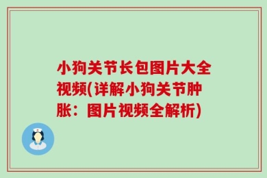 小狗关节长包图片大全视频(详解小狗关节肿胀：图片视频全解析)
