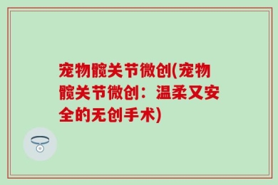 宠物髋关节微创(宠物髋关节微创：温柔又安全的无创手术)