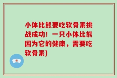 小体比熊要吃软骨素挑战成功！一只小体比熊因为它的健康，需要吃软骨素)