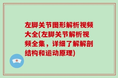 左脚关节图形解析视频大全(左脚关节解析视频全集，详细了解解剖结构和运动原理)