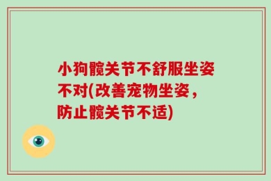 小狗髋关节不舒服坐姿不对(改善宠物坐姿，防止髋关节不适)