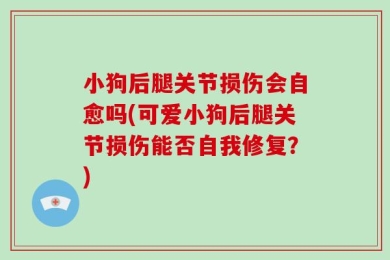 小狗后腿关节损伤会自愈吗(可爱小狗后腿关节损伤能否自我修复？)