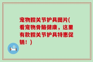 宠物髋关节护具图片(看宠物骨骼健康，这里有款髋关节护具特惠促销！)