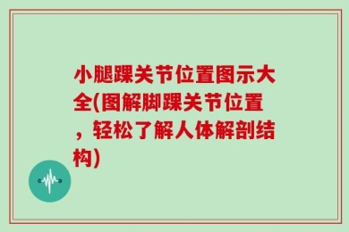 小腿踝关节位置图示大全(图解脚踝关节位置，轻松了解人体解剖结构)