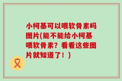 小柯基可以喂软骨素吗图片(能不能给小柯基喂软骨素？看看这些图片就知道了！)