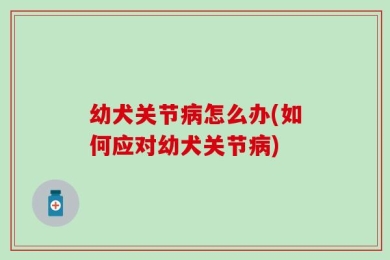 幼犬关节病怎么办(如何应对幼犬关节病)