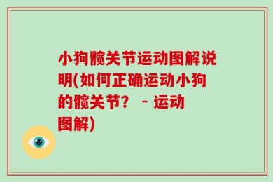 小狗髋关节运动图解说明(如何正确运动小狗的髋关节？ - 运动图解)