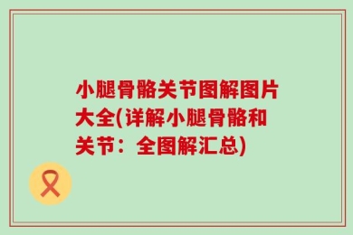 小腿骨骼关节图解图片大全(详解小腿骨骼和关节：全图解汇总)