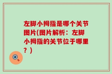 左脚小拇指是哪个关节图片(图片解析：左脚小拇指的关节位于哪里？)
