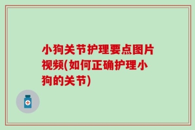 小狗关节护理要点图片视频(如何正确护理小狗的关节)