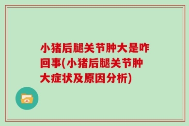 小猪后腿关节肿大是咋回事(小猪后腿关节肿大症状及原因分析)