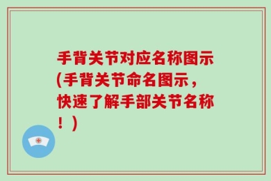 手背关节对应名称图示(手背关节命名图示，快速了解手部关节名称！)