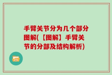 手臂关节分为几个部分图解(【图解】手臂关节的分部及结构解析)
