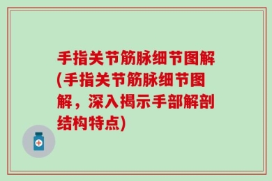手指关节筋脉细节图解(手指关节筋脉细节图解，深入揭示手部解剖结构特点)