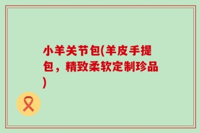 小羊关节包(羊皮手提包，精致柔软定制珍品)