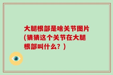 大腿根部是啥关节图片(猜猜这个关节在大腿根部叫什么？)